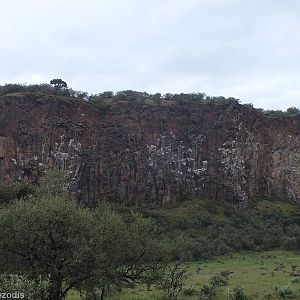 Vulture Nesting Cliffs - Hell's Gate National Park