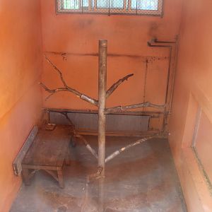 Indoor primate enclosure