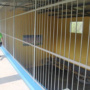 Indoor primate enclosures