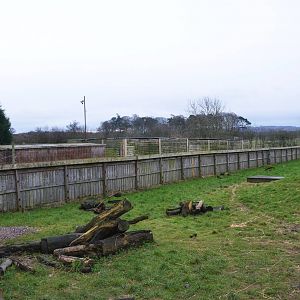 Otter Enclosure at the Scottish Deer Centre, 06/02/16