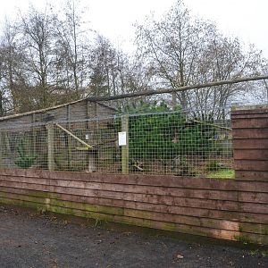 Wildcat Enclosure at the Scottish Deer Centre, 06/02/16