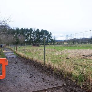 Axis Deer Paddock at the Scottish Deer Centre, 06/02/16