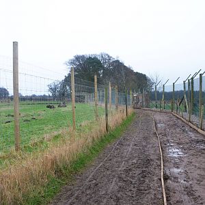 Pathway View at the Scottish Deer Centre, 06/02/16