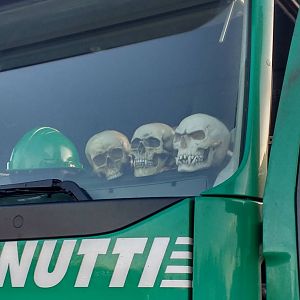 IMG_20160219_081315390_HDR_2_