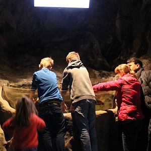 Touch-pool Garra rufa