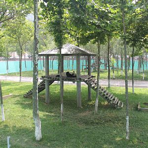 Giant panda exhibit