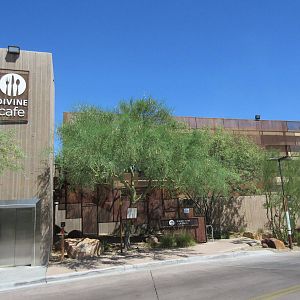 Springs Preserve (Nevada) - Divine Cafe Exterior