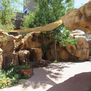 Springs Preserve (Nevada) - Boulder Pathway