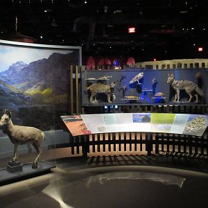 Springs Preserve (Nevada) - State Museum