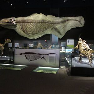 Springs Preserve (Nevada) - State Museum