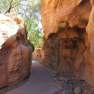 Springs Preserve (Nevada) - Boulder Pathway