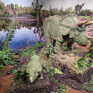 Springs Preserve (Nevada) - Origen Museum