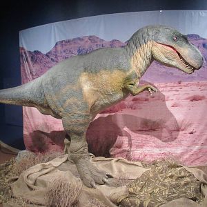 Springs Preserve (Nevada) - Origen Museum