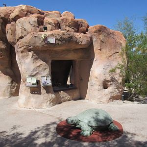 Springs Preserve (Nevada) - Small Animal Exhibits