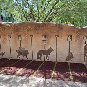 Springs Preserve (Nevada) - How far can you jump?