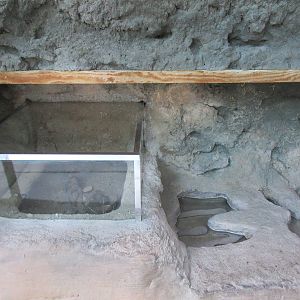 Springs Preserve (Nevada) - Rough Harvester Ant Exhibit