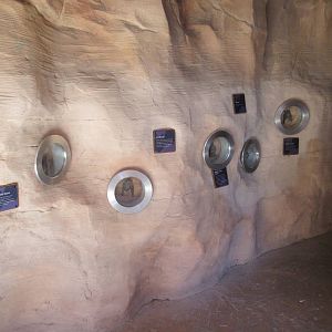Springs Preserve (Nevada) - Bat Cave (the bats are fake)