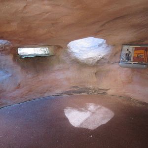 Springs Preserve (Nevada) - Desert Cottontail Viewing Cave