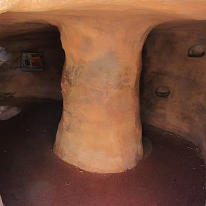 Springs Preserve (Nevada) - Desert Cottontail Viewing Cave
