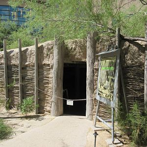 Springs Preserve (Nevada) - Patayan Village