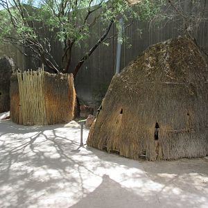 Springs Preserve (Nevada) - Patayan Village