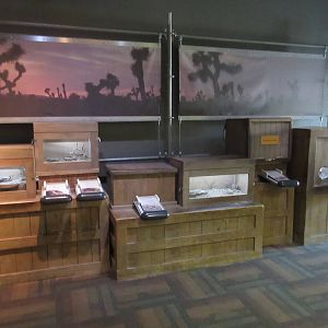 Springs Preserve (Nevada) - Small Animal Exhibits