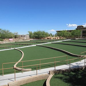 Springs Preserve (Nevada) - Amphitheatre Seating Area