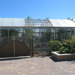Springs Preserve (Nevada) - Butterfly Habitat