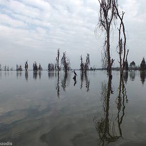 View Along the Edge of the Lake - Lake Naivasha