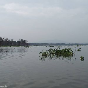 View of the Lake - Lake Naivasha