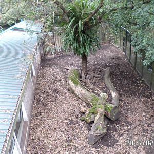 Kadoorie Farm-wild boar exhibit