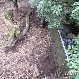 Kadoorie Farm- wild boar exhibit