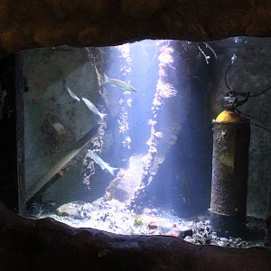 Aquarium