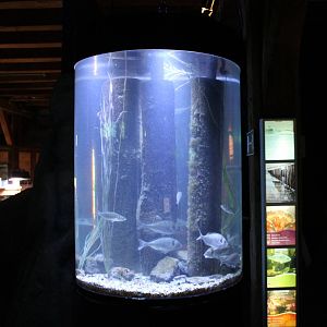 Aquarium