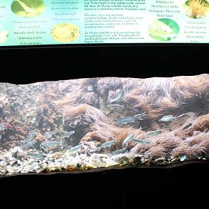 Aquarium and signs