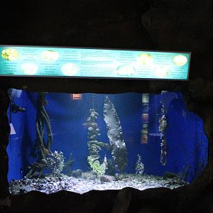 Aquarium