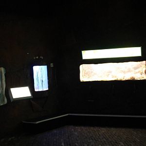 Several aquariums