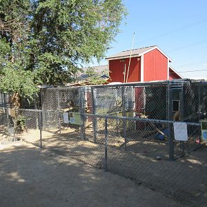 Sierra Safari Zoo (Nevada) - Small Mammal Exhibits