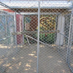 Sierra Safari Zoo (Nevada) - Empty Exhibit