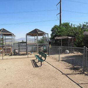 Sierra Safari Zoo (Nevada) - Small Animal Exhibits