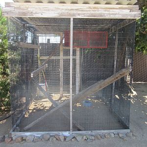 Sierra Safari Zoo (Nevada) - Red Golden Pheasant Exhibit