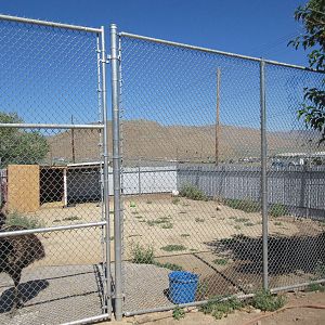 Sierra Safari Zoo (Nevada) - Emu Exhibit
