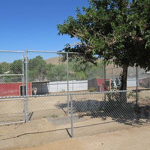 Sierra Safari Zoo (Nevada) - Grant's Zebra Exhibit #1