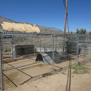 Sierra Safari Zoo (Nevada) - Lion Exhibits
