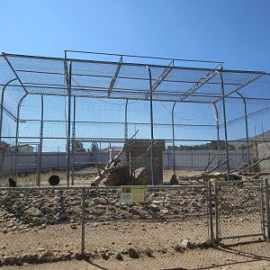 Sierra Safari Zoo (Nevada) - Hamadryas Baboon Exhibit