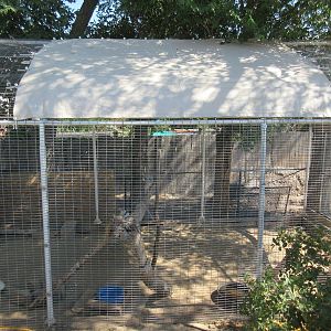 Sierra Safari Zoo (Nevada) - Empty Exhibit