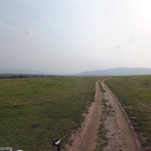 View - Maasai Mara