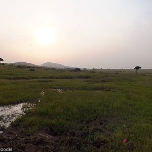 View - Maasai Mara
