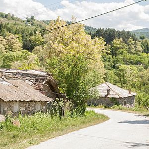 Here I would love to open a small modern zoo. 41.18 Northern latitude