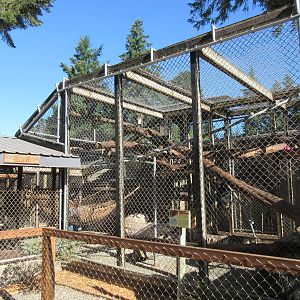 West Coast Game Park Safari (Oregon) - Chimpanzee Exhibit